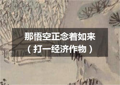 那悟空正念着如来（打一经济作物）