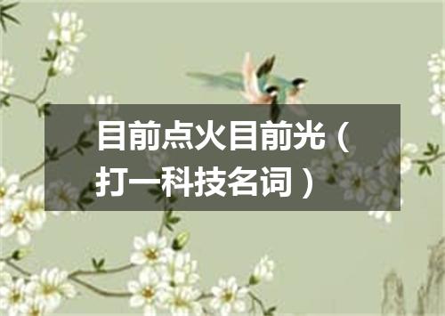 目前点火目前光（打一科技名词）