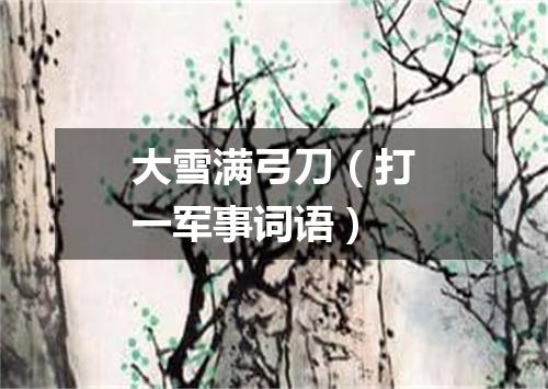 大雪满弓刀（打一军事词语）