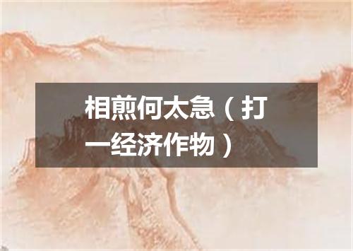 相煎何太急（打一经济作物）