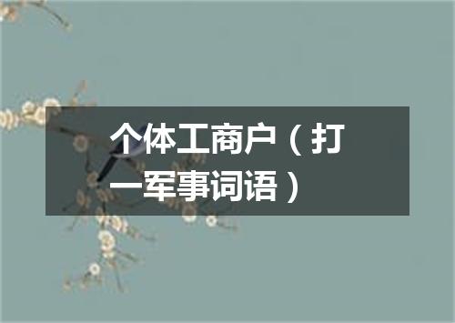 个体工商户（打一军事词语）