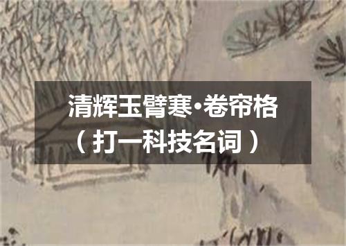 清辉玉臂寒·卷帘格（打一科技名词）
