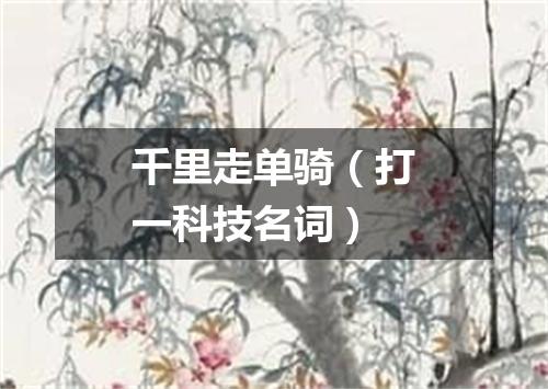 千里走单骑（打一科技名词）