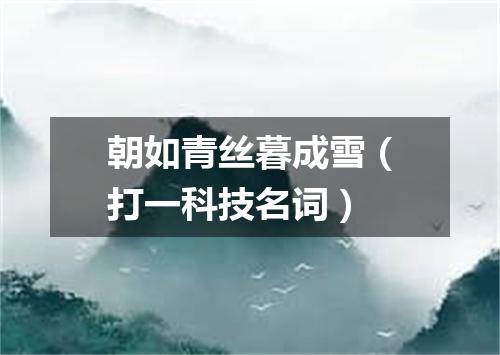 朝如青丝暮成雪（打一科技名词）