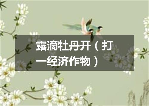 露滴牡丹开（打一经济作物）
