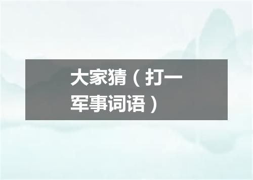 大家猜（打一军事词语）