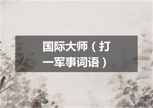 国际大师（打一军事词语）