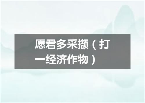愿君多采撷（打一经济作物）