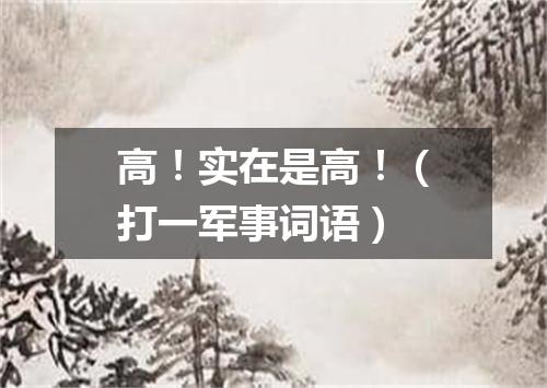 高！实在是高！（打一军事词语）
