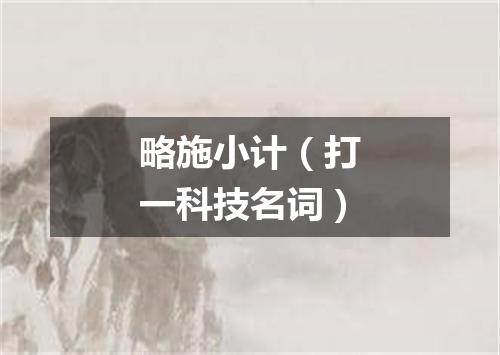 略施小计（打一科技名词）