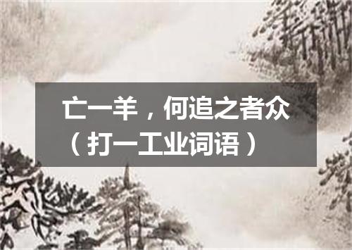亡一羊，何追之者众（打一工业词语）