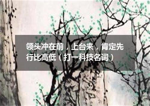 领头冲在前，上台来，肯定先行比高低（打一科技名词）