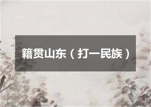 籍贯山东（打一民族）