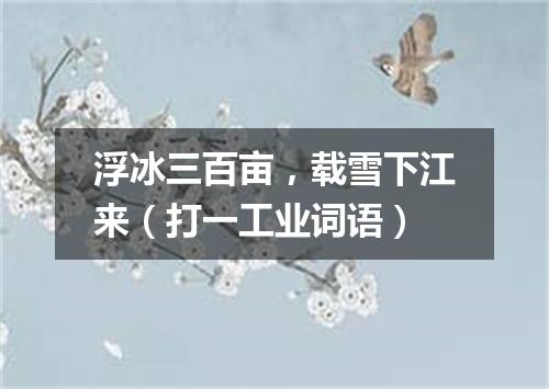 浮冰三百亩，载雪下江来（打一工业词语）