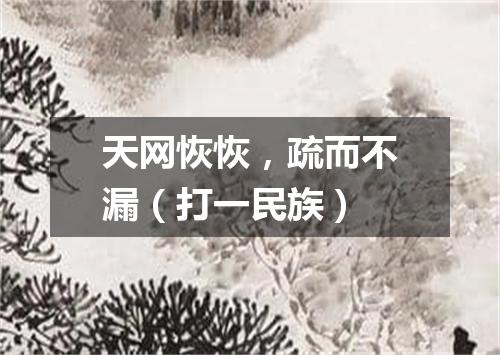 天网恢恢，疏而不漏（打一民族）