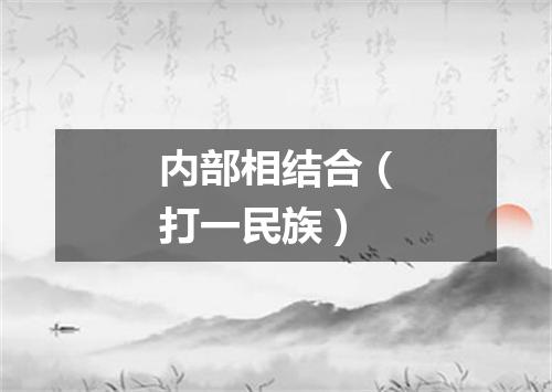 内部相结合（打一民族）