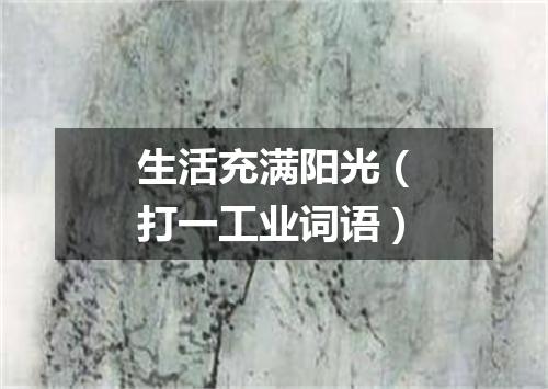 生活充满阳光（打一工业词语）
