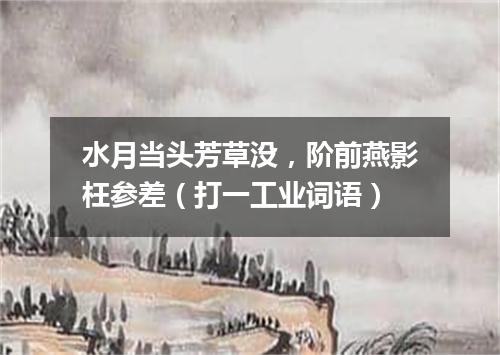 水月当头芳草没，阶前燕影枉参差（打一工业词语）