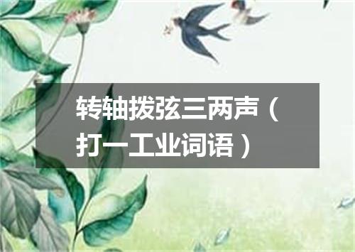 转轴拨弦三两声（打一工业词语）
