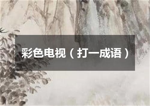 彩色电视（打一成语）