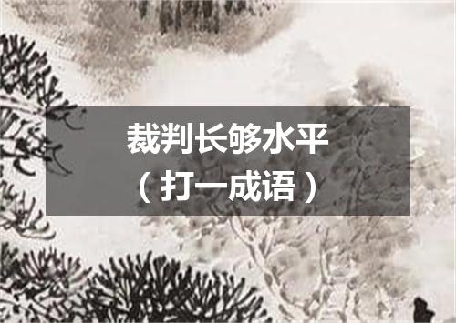 裁判长够水平（打一成语）
