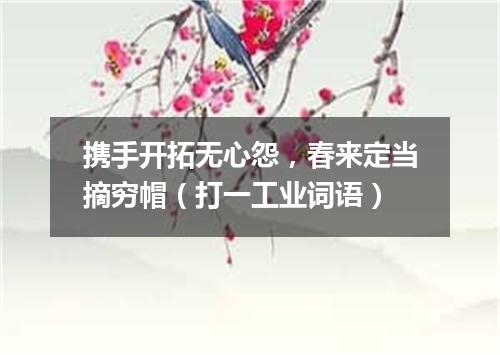携手开拓无心怨，春来定当摘穷帽（打一工业词语）