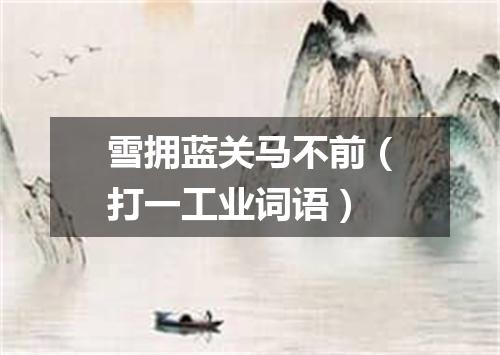 雪拥蓝关马不前（打一工业词语）
