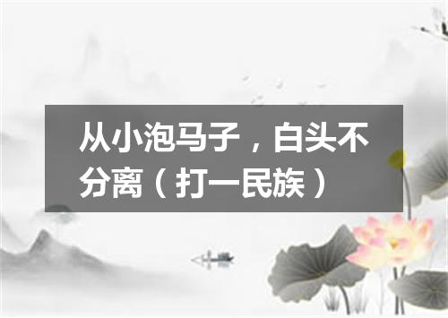 从小泡马子，白头不分离（打一民族）
