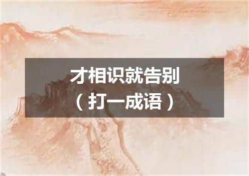 才相识就告别（打一成语）
