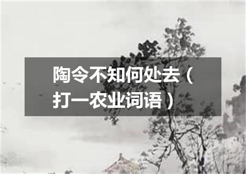 陶令不知何处去（打一农业词语）