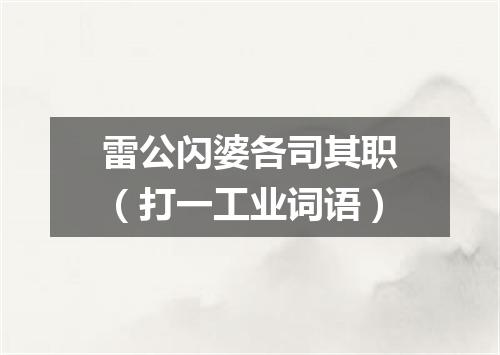 雷公闪婆各司其职（打一工业词语）