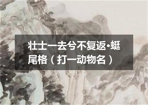 壮士一去兮不复返·蜓尾格（打一动物名）