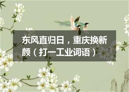 东风直归日，重庆换新颜（打一工业词语）