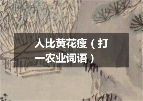人比黄花瘦（打一农业词语）