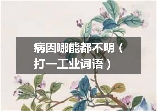 病因哪能都不明（打一工业词语）