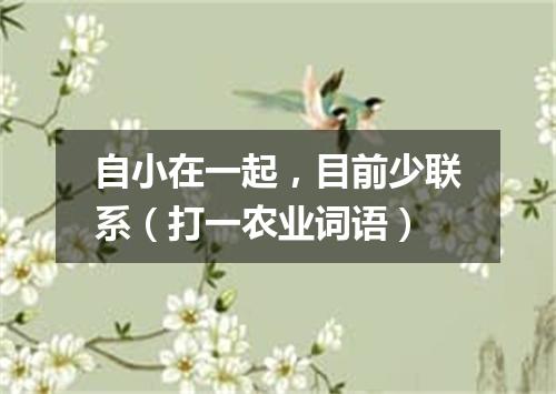 自小在一起，目前少联系（打一农业词语）