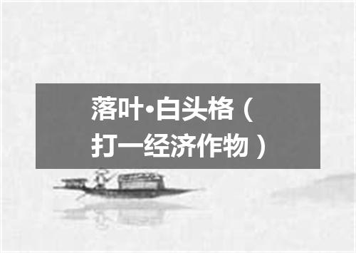 落叶·白头格（打一经济作物）