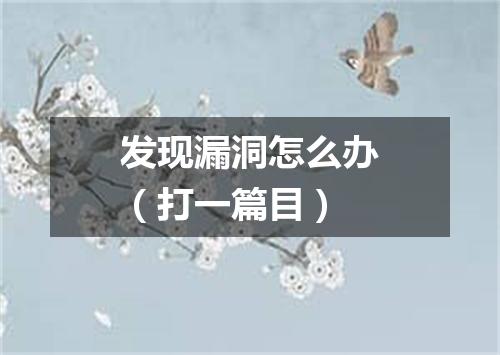 发现漏洞怎么办（打一篇目）