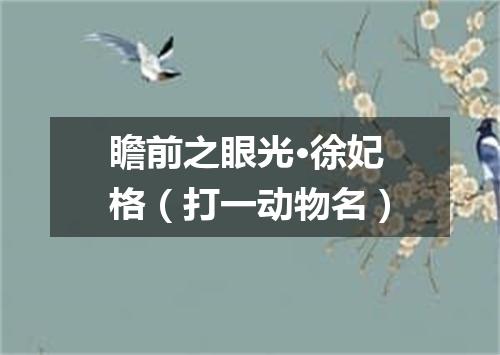 瞻前之眼光·徐妃格（打一动物名）