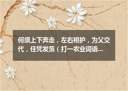 何须上下奔走，左右袒护，为父交代，任凭发落（打一农业词语）