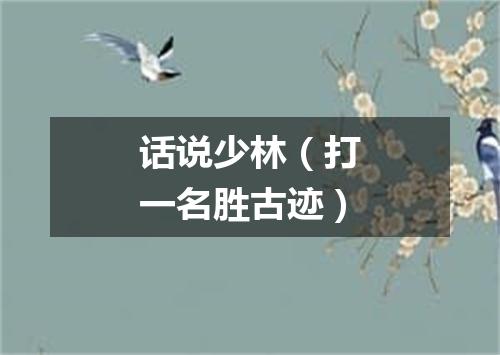 话说少林（打一名胜古迹）