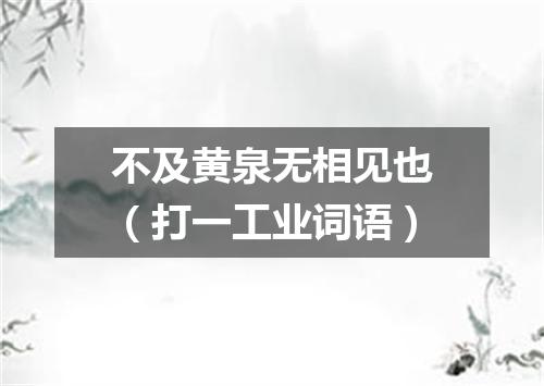 不及黄泉无相见也（打一工业词语）