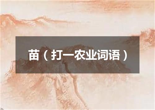 苗（打一农业词语）