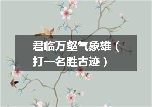 君临万壑气象雄（打一名胜古迹）