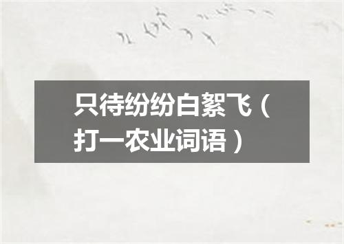 只待纷纷白絮飞（打一农业词语）