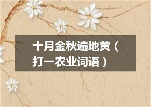 十月金秋遍地黄（打一农业词语）
