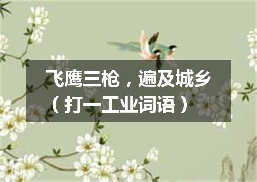 飞鹰三枪，遍及城乡（打一工业词语）