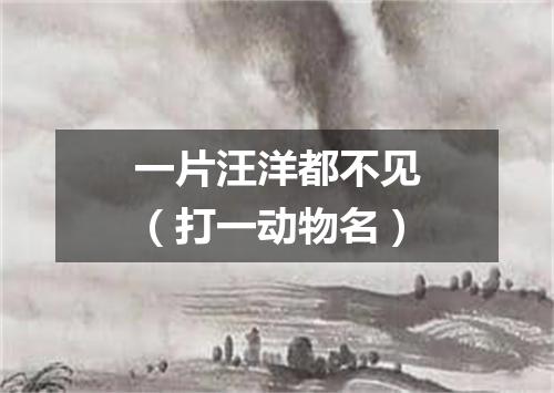一片汪洋都不见（打一动物名）