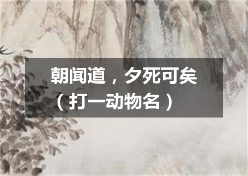 朝闻道，夕死可矣（打一动物名）