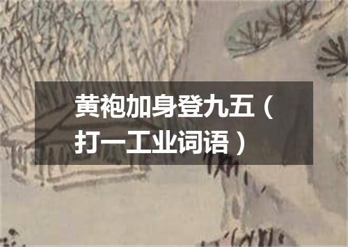 黄袍加身登九五（打一工业词语）